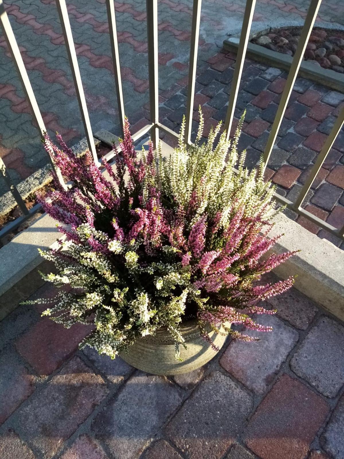 Birgittagarden - Gaesthem - Birgittasystrarna Bed & Breakfast Falun Dış mekan fotoğraf